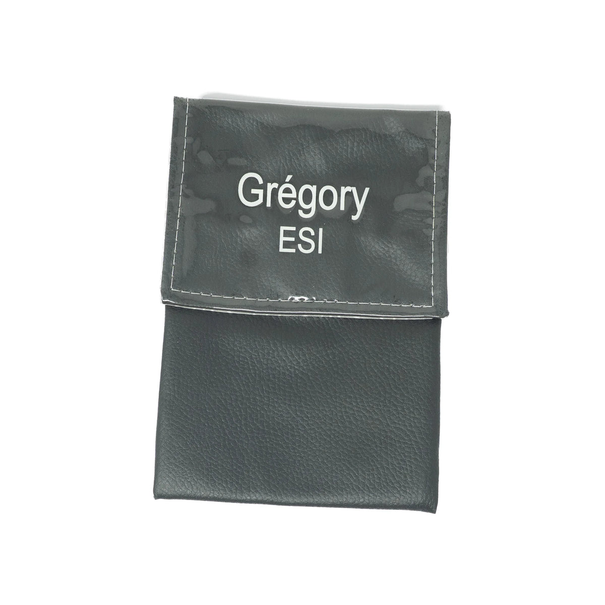 Grégory - ESI