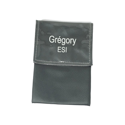 Grégory - ESI